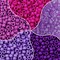 MIIIM 1000PCS 6x9mm Pony Beads Bulk, 5 Styles Purple for Bracelets Making Kit, Kandi, Hair for Braids, Craft for Jewelry Making (Purple)